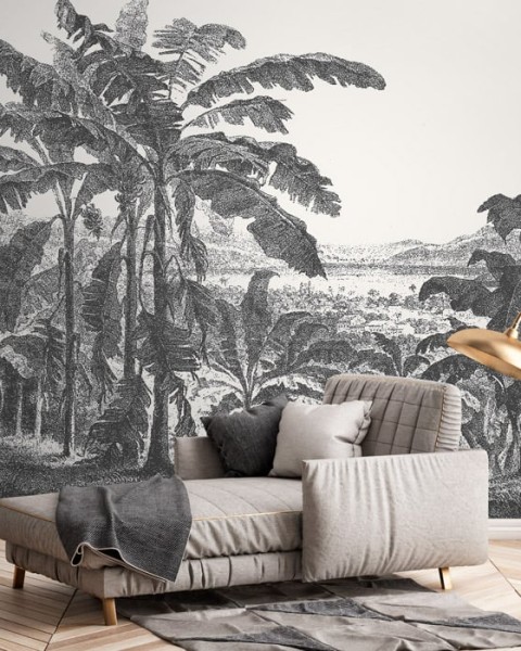 Feathr | Palms and Mountain | Fe33201